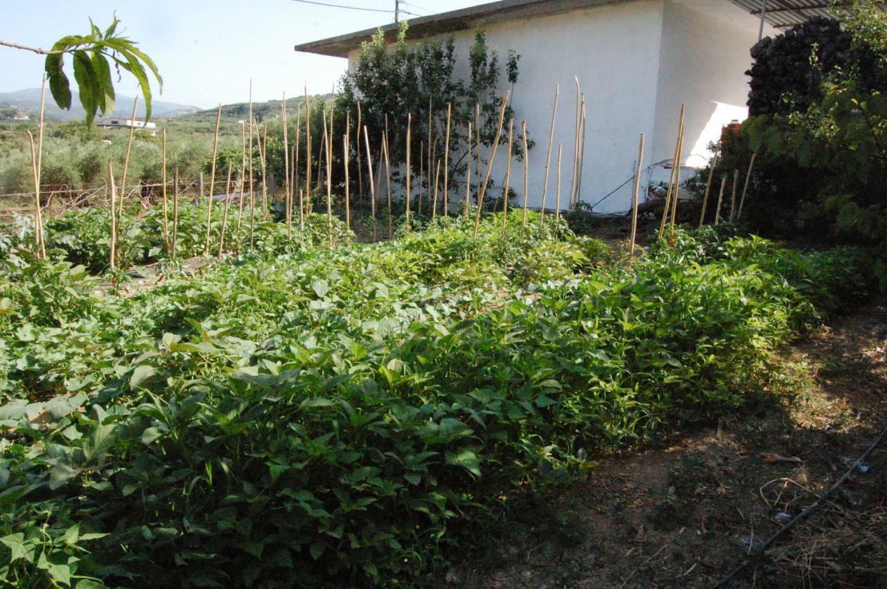 Old Winery House Villa Kolymbari Exterior photo