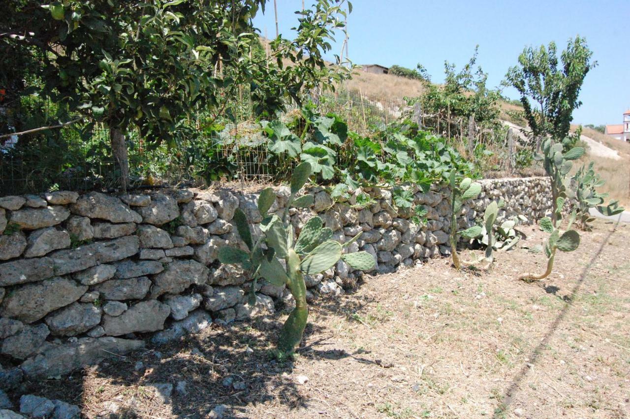Old Winery House Villa Kolymbari Exterior photo