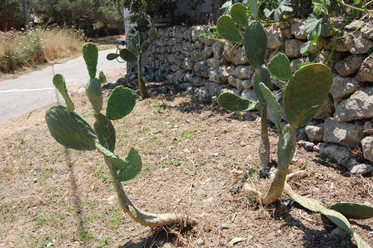 Old Winery House Villa Kolymbari Exterior photo